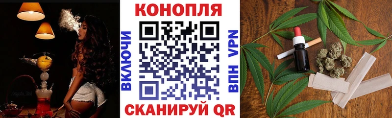 Купить закладку Шахунья Метадон  МЕФ  ГАШИШ  Галлюциногенные грибы  Канабис  Амфетамин 