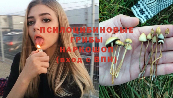 mdpv Богданович