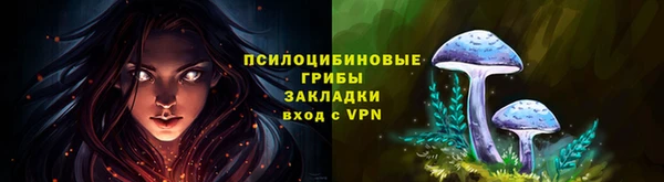 mdpv Богданович