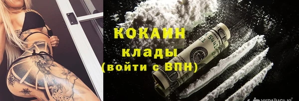 ALPHA PVP Богородицк