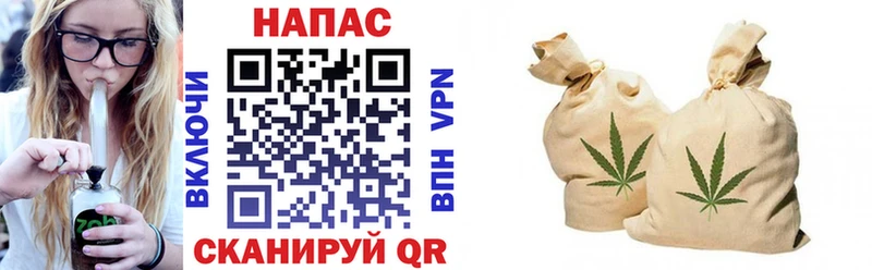 где купить   Шахунья  блэк спрут сайт  Марихуана планчик 